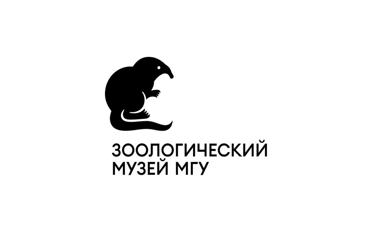 5445368067577211587